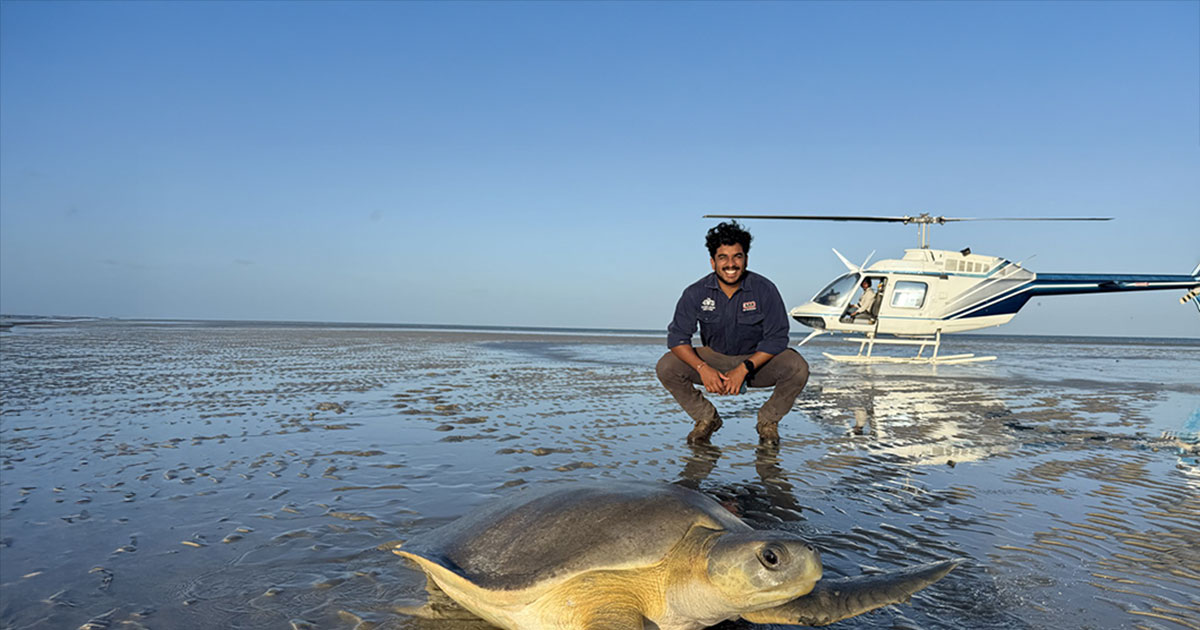 Disease Ecology Lab in the field